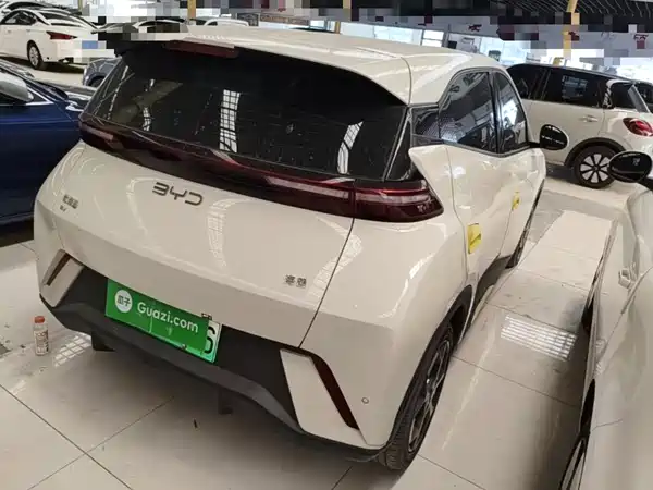 BYD Seagull 2024