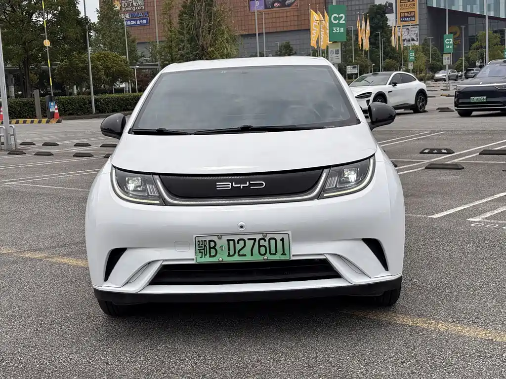 BYD Dolphin 2021