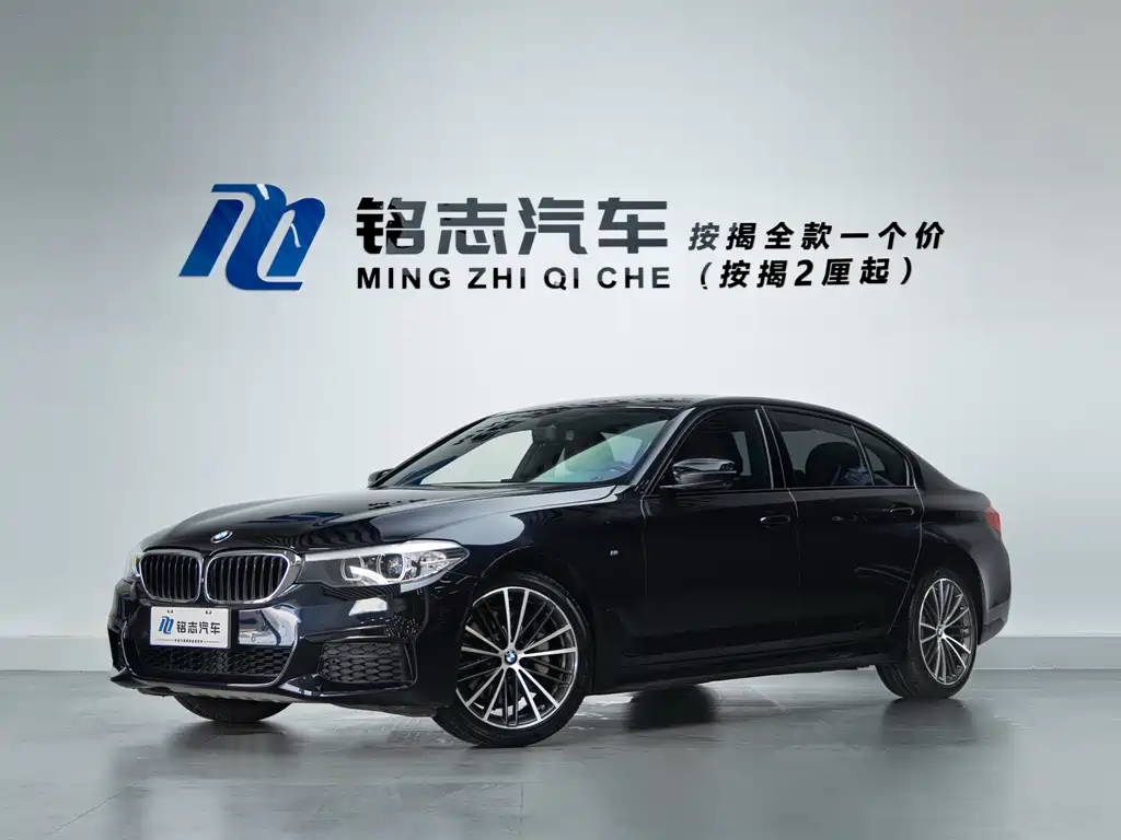 BMW 5 Series 2019