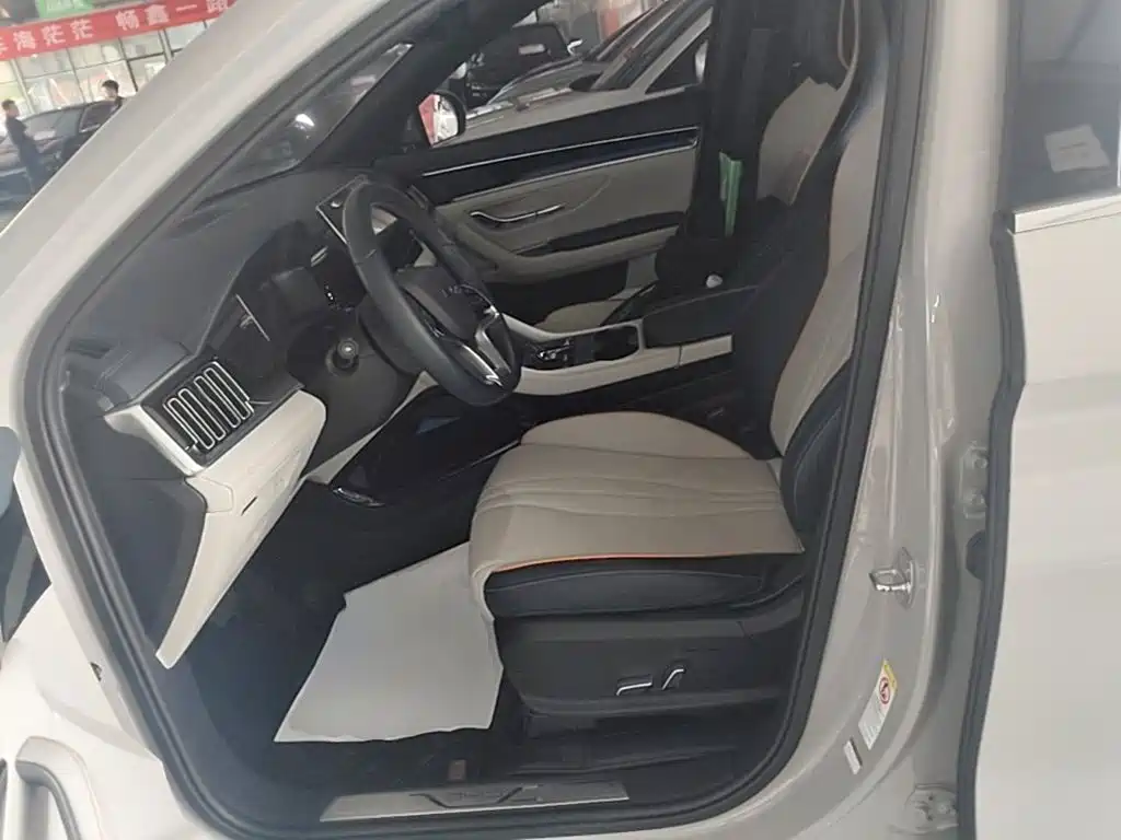 BYD Song PLUS New Energy 2024 — фото 15