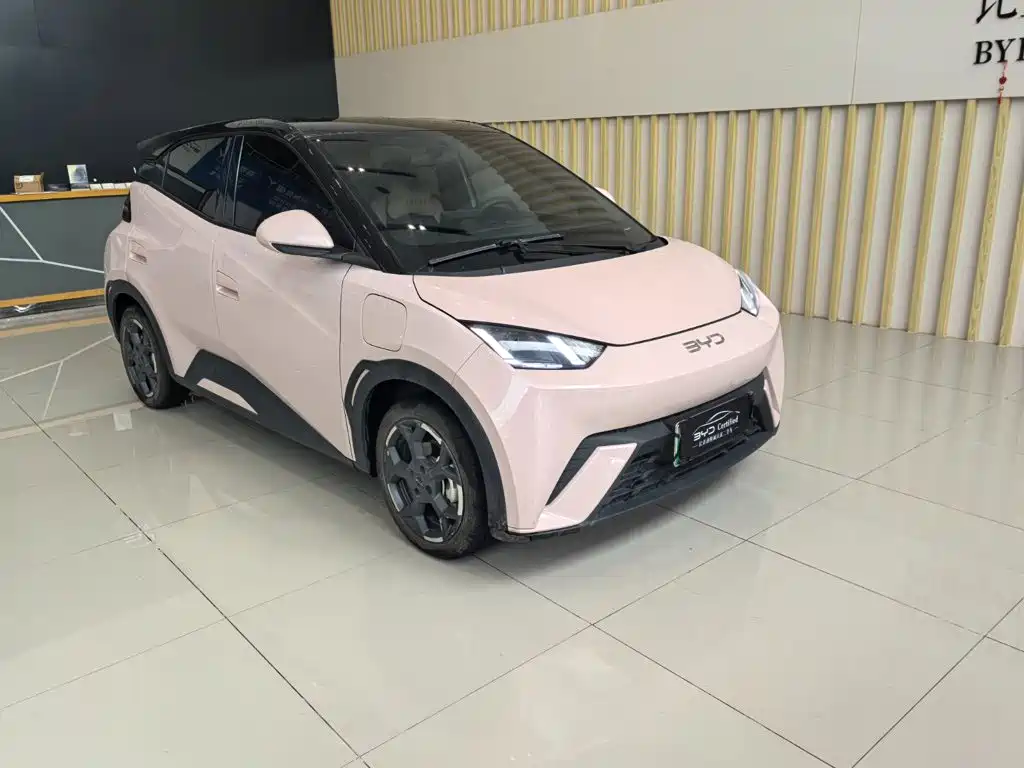 BYD Seagull 2024