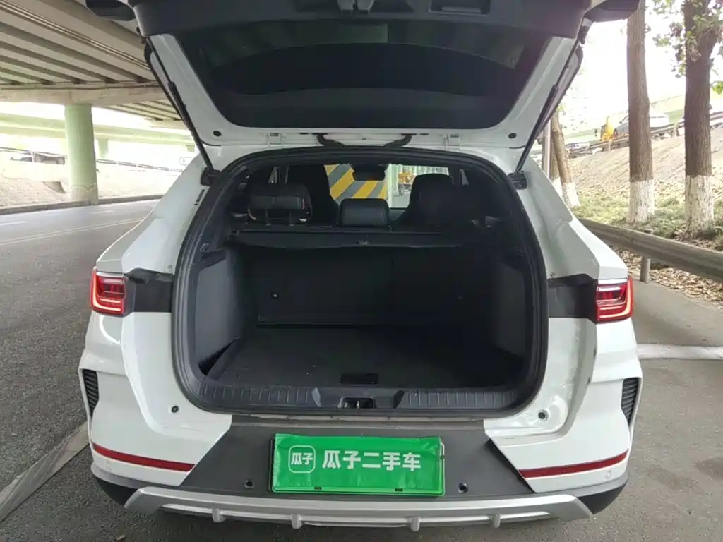BYD Song PLUS New Energy 2023 — фото 15