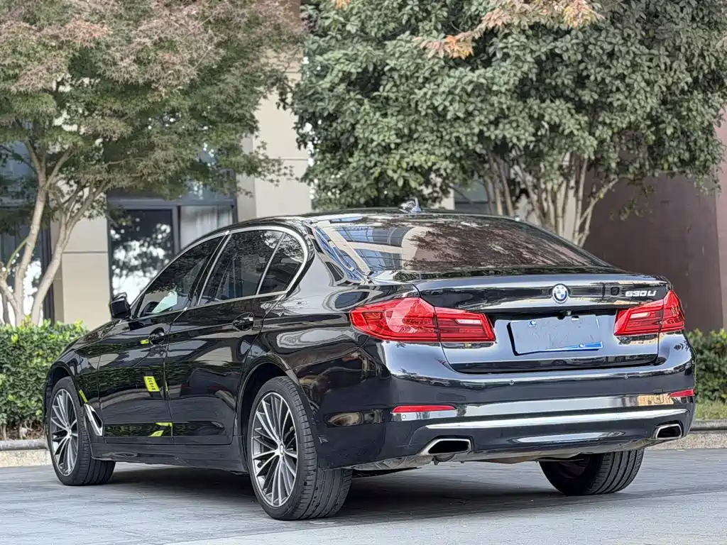 BMW 5 Series 2019