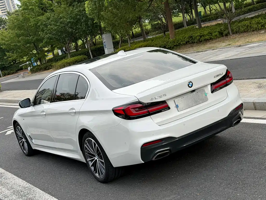 BMW 5 Series 2020