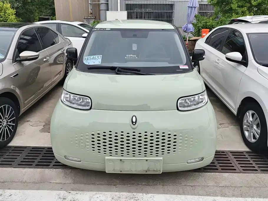 Ora White Cat 2021