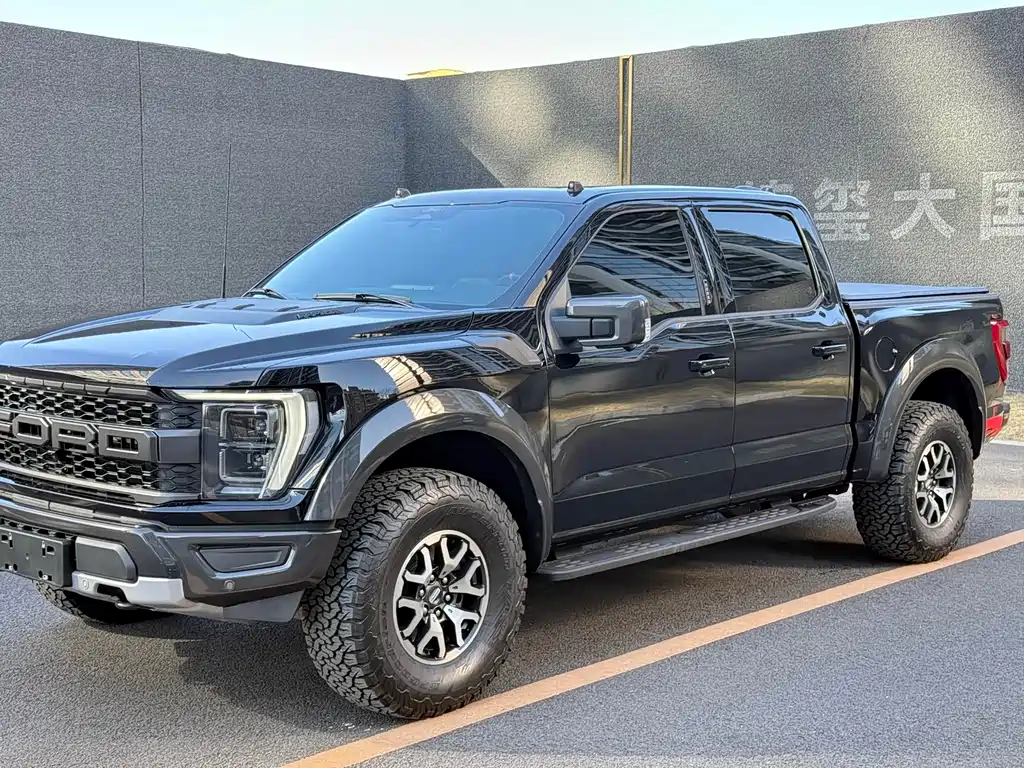 Ford F-150 Raptor 2024 — фото 1