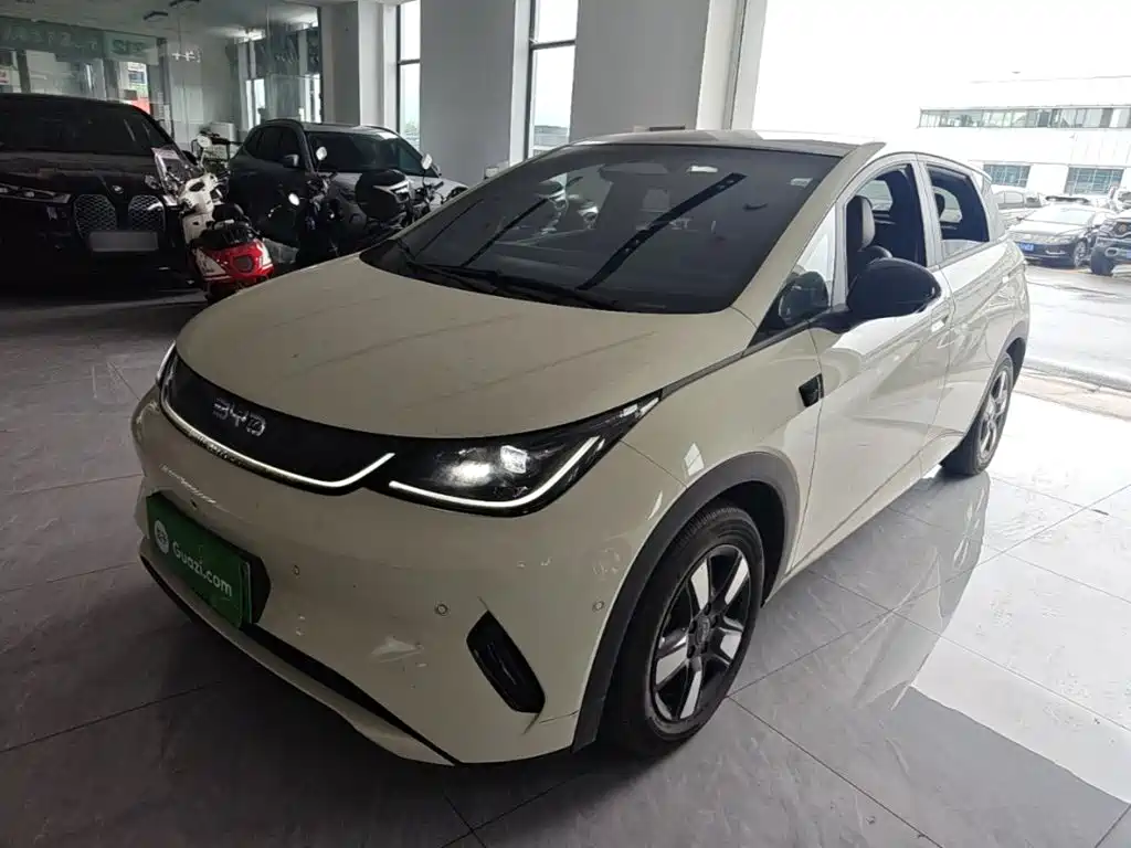 BYD Dolphin 2025