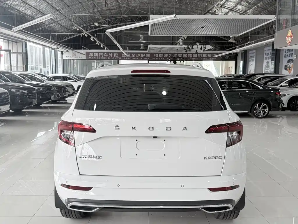 Skoda Karoq 2022 — фото 15