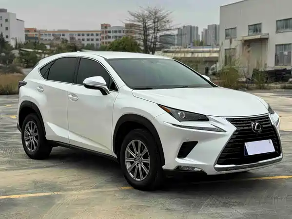 Lexus NX 2020