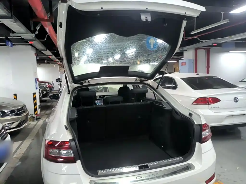 Skoda Octavia 2019 — фото 19