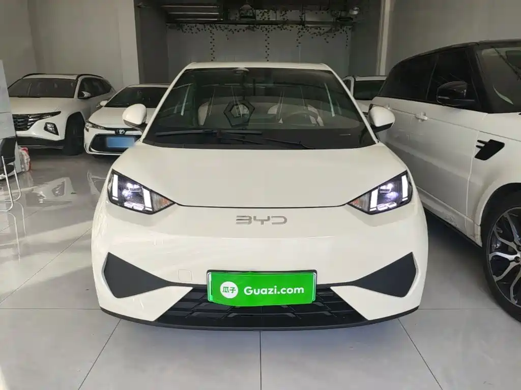 BYD Seagull 2025