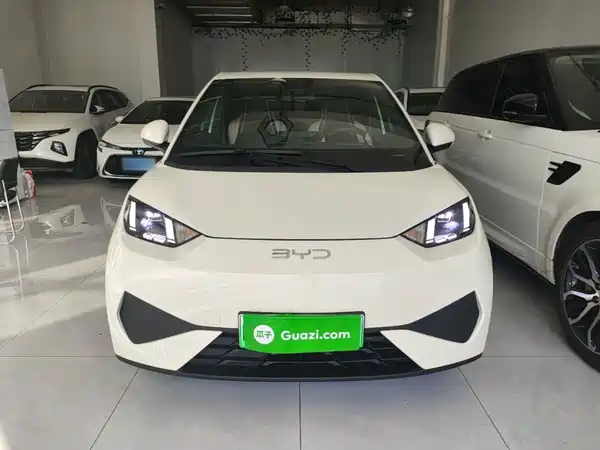 BYD Seagull 2025
