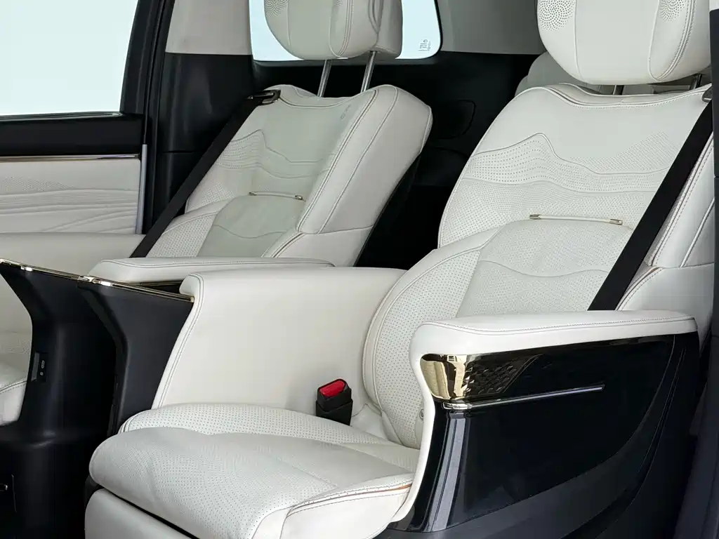 GAC Motor Trumpchi E9 2023 — фото 14