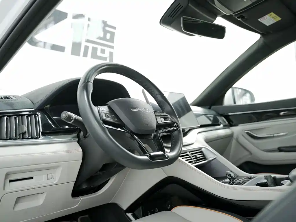 BYD PLUS New Energy 2024 — фото 11