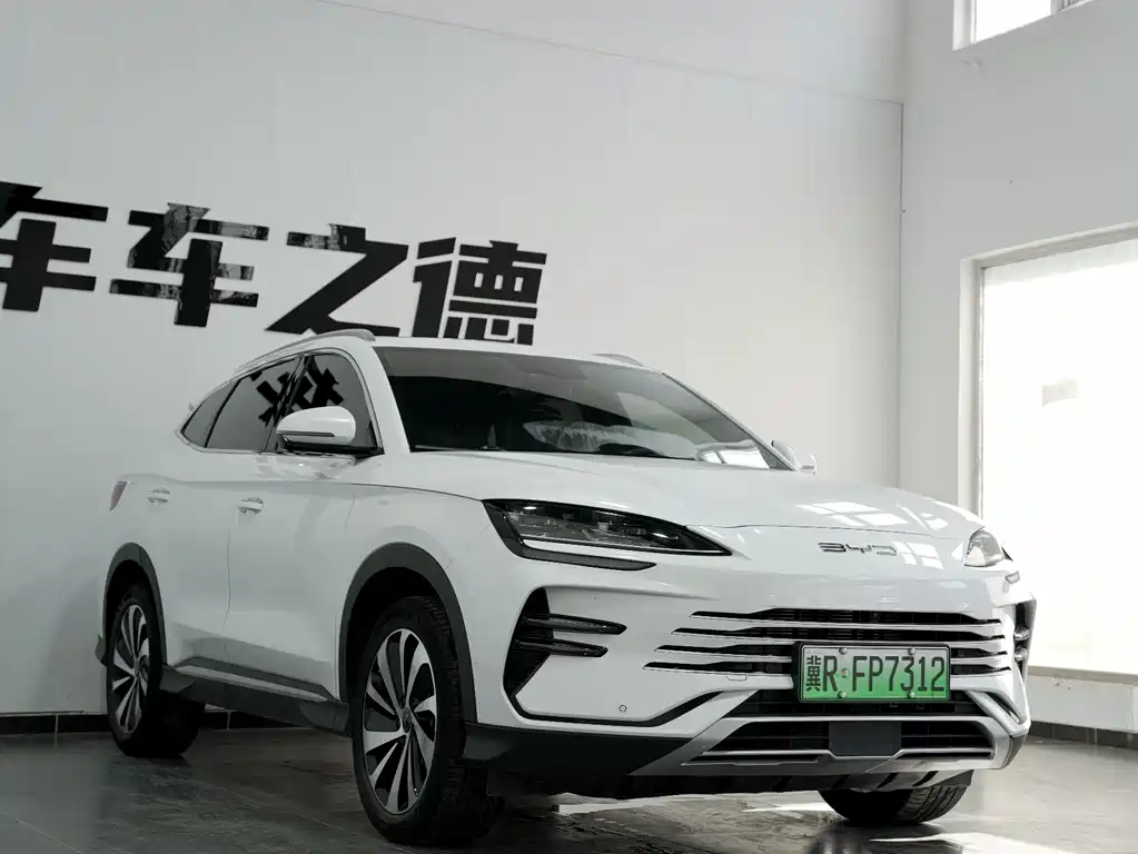 BYD PLUS New Energy 2024 — фото 2