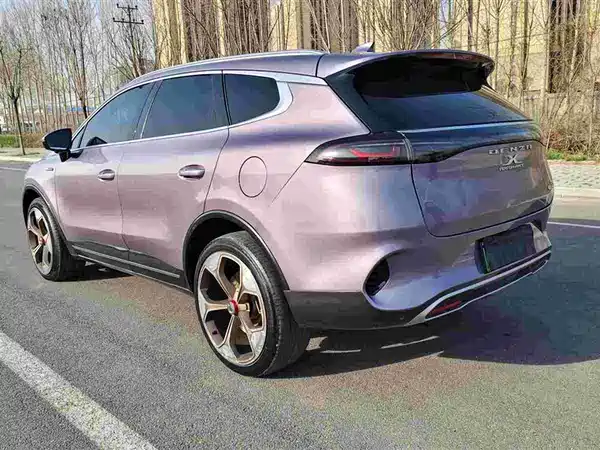 Denza X 2020