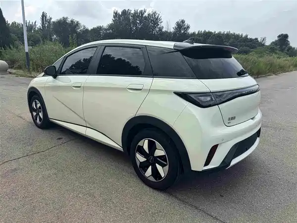 BYD Dolphin 2024