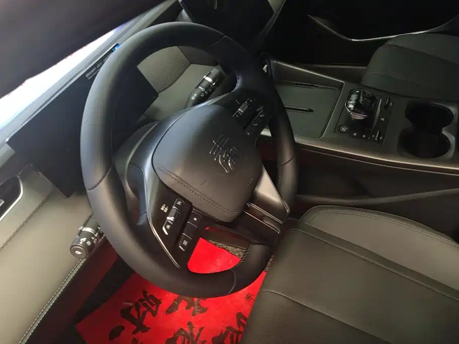 BYD Qin PLUS 2025 — фото 15
