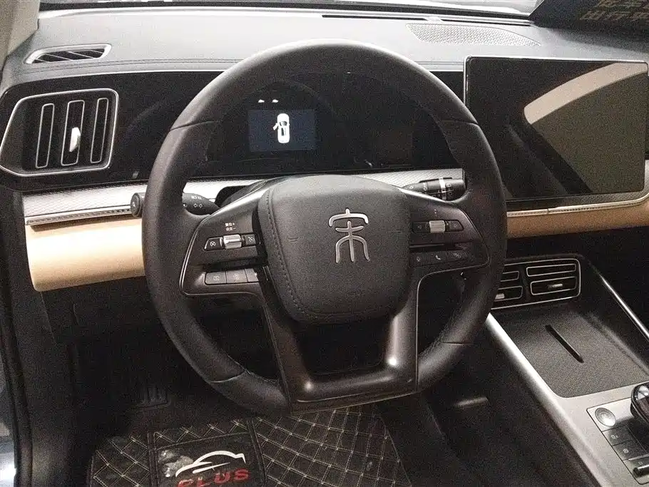 BYD Pro New Energy 2025 — фото 15