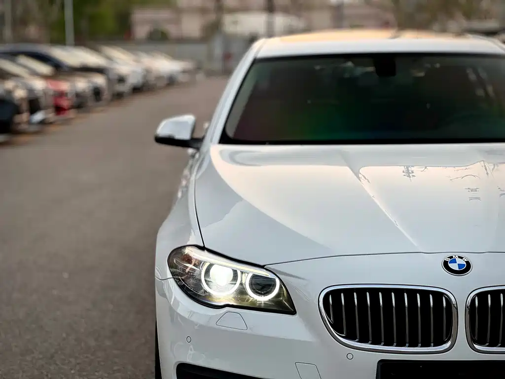 BMW 5 Series 2015 — фото 33