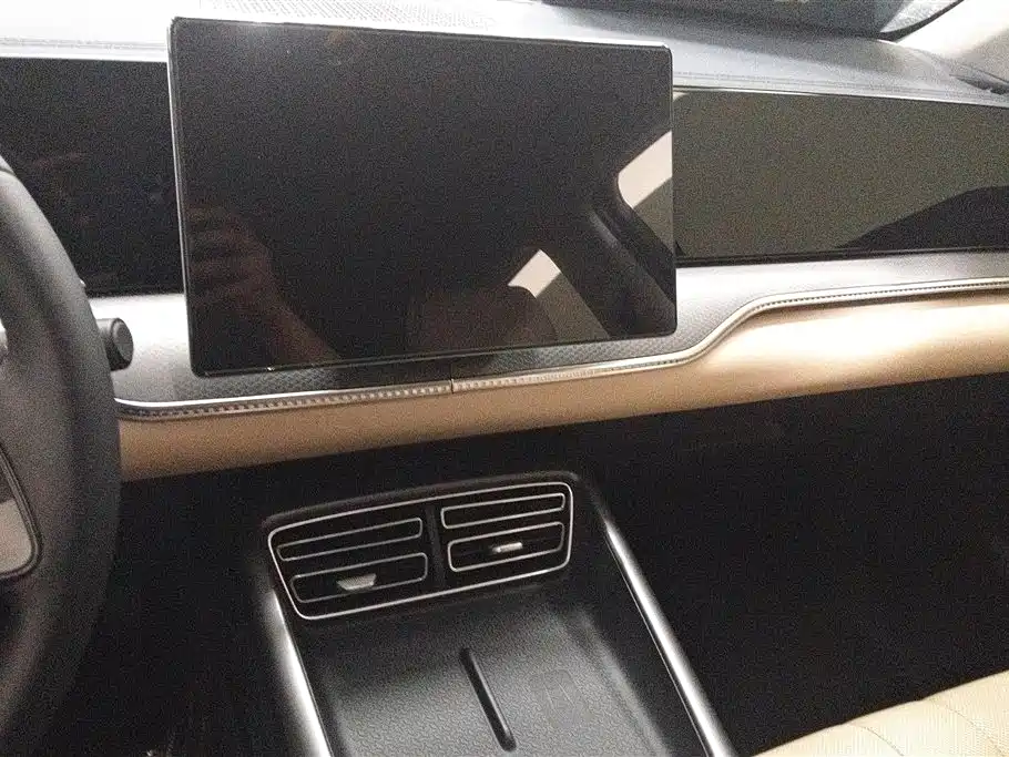 BYD Pro New Energy 2025 — фото 13