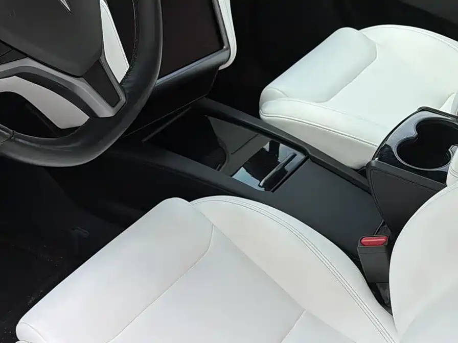 Tesla Model X 2020 — фото 10