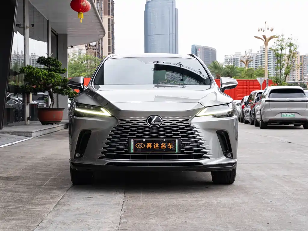 Lexus RX New Energy 2023 — фото 2
