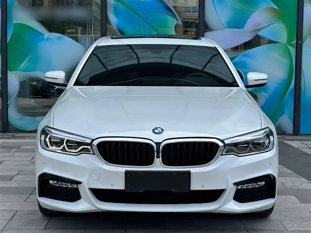 BMW 5 Series 2018 — фото 8