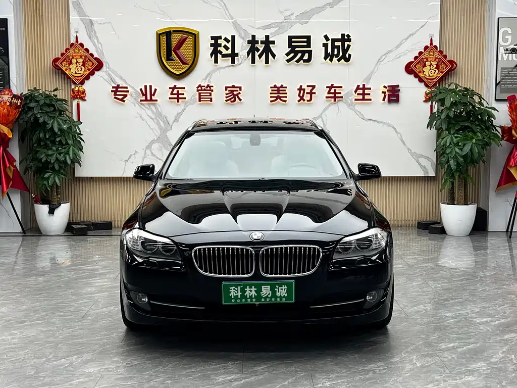BMW 5 Series 2013