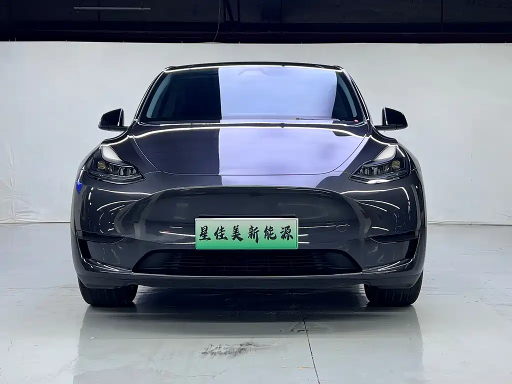 Tesla Model Y 2024 — фото 2