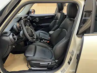 MINI MINI 2020