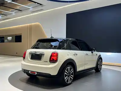 MINI MINI 2020