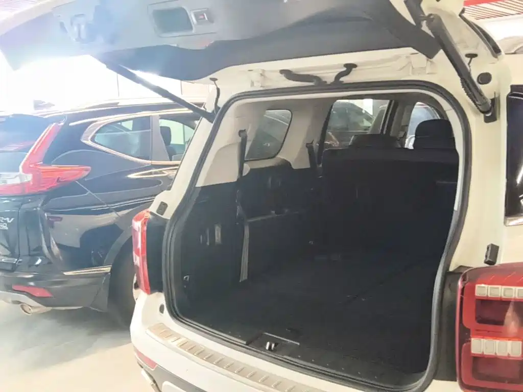GAC Trumpchi GS8 2019 — фото 19