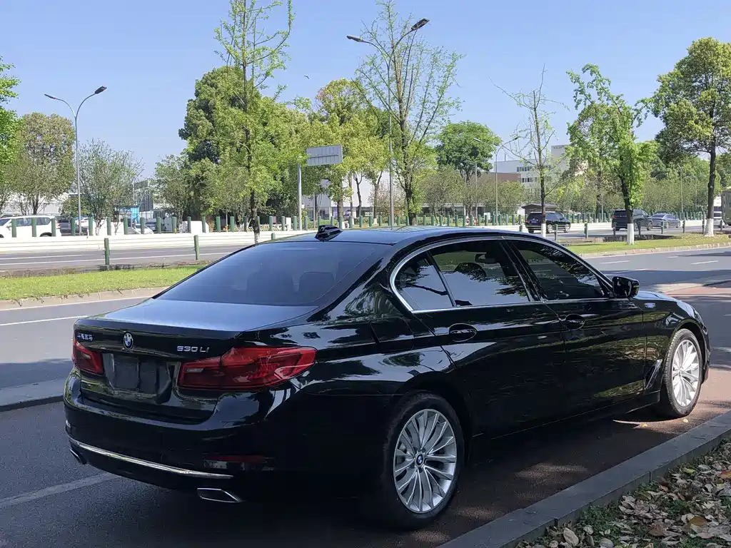 BMW 5 Series 2019 — фото 11