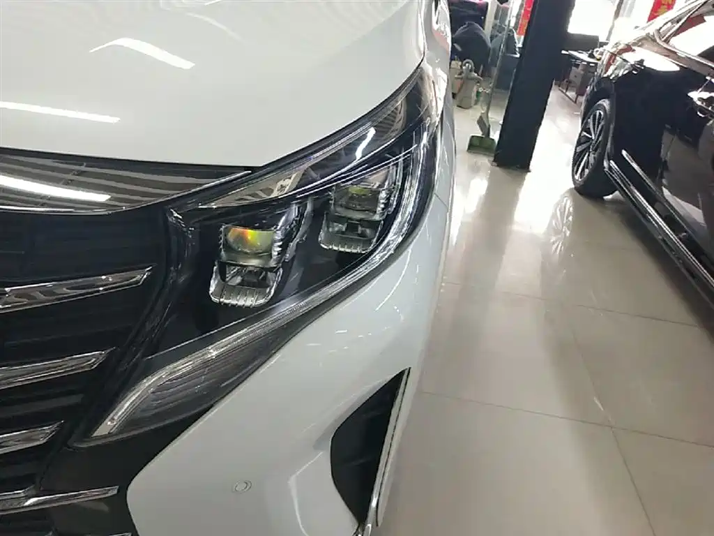 GAC Motor Trumpchi M8 2022 — фото 18