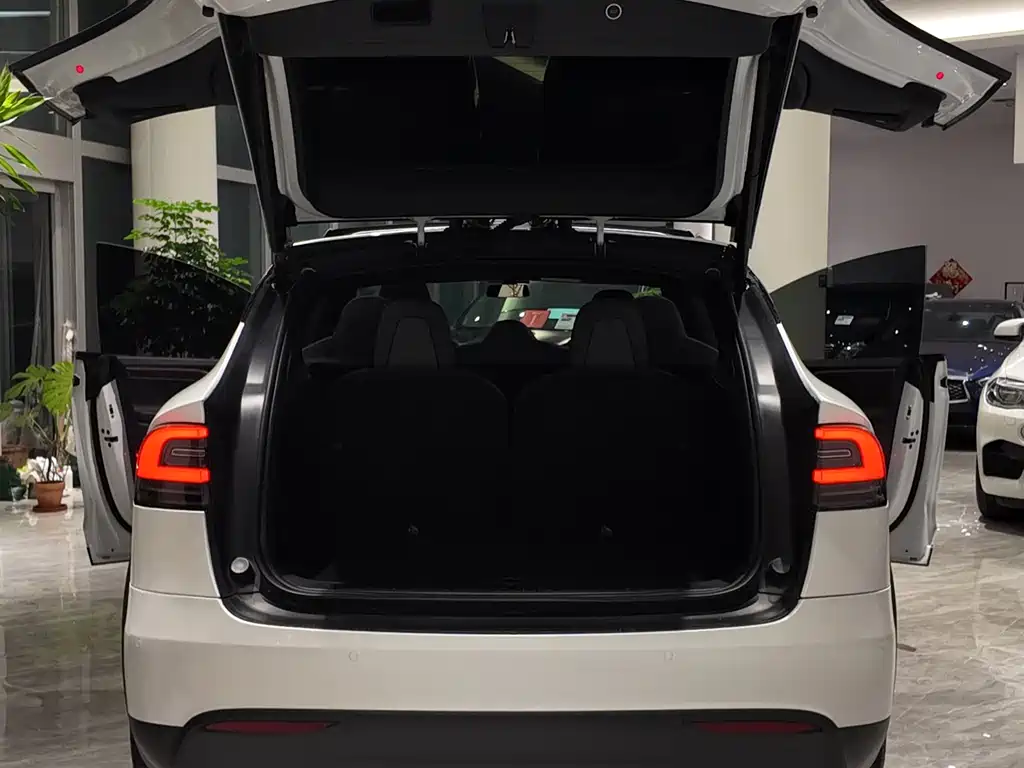 Tesla Model X 2020 — фото 6