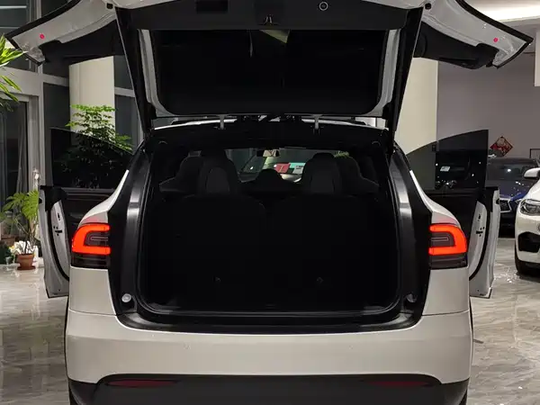 Tesla Model X 2019