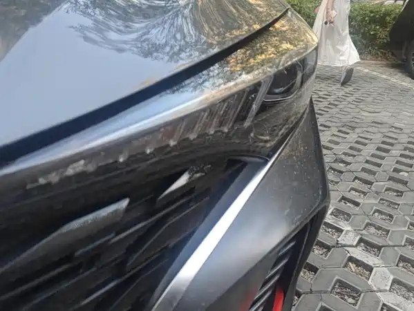 Changan Eado 2023