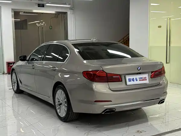 BMW 5 Series New Energy 2020