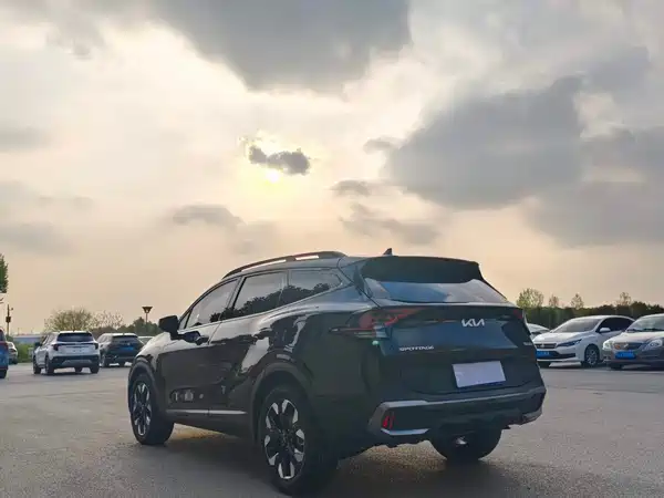 Kia Lion Platinum Expands The Boundary 2025