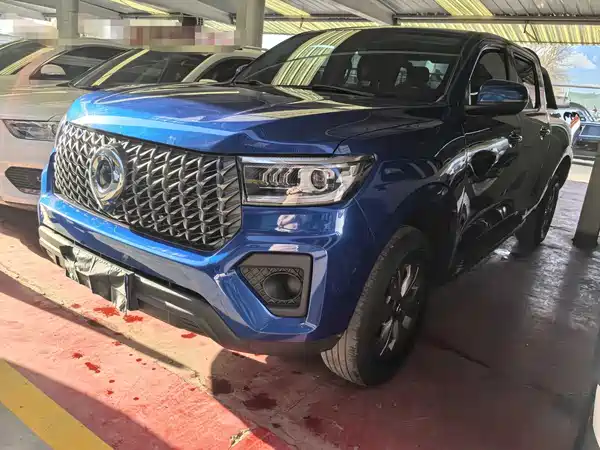 Great Wall Poer 2024