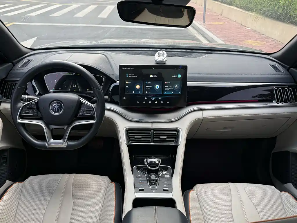 BYD PLUS New Energy 2022 — фото 14