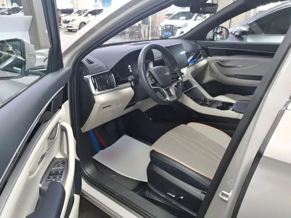 BYD PLUS New Energy 2023 — фото 16