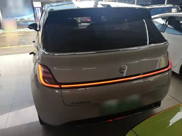 Baojun Yunduo 2024