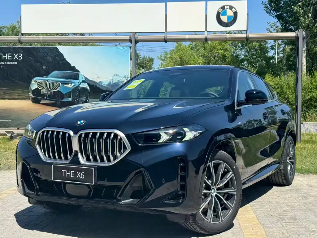 BMW X6