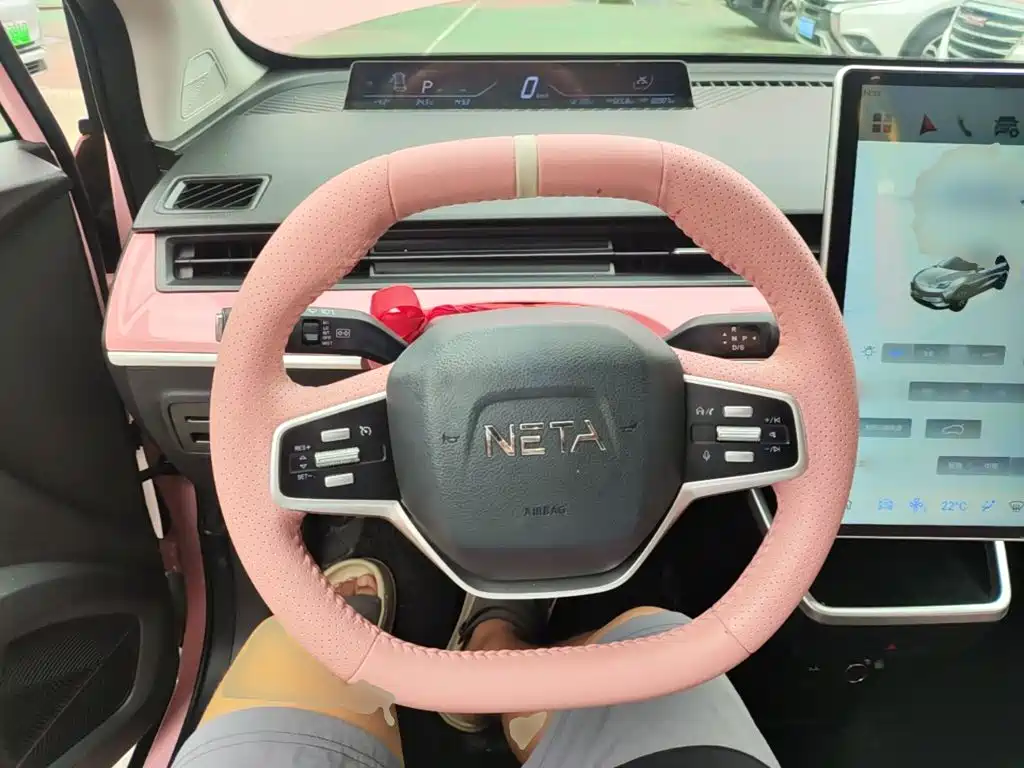 Neta V 2022
