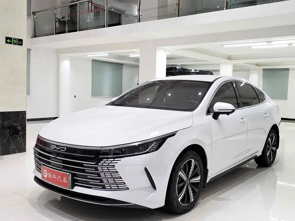 BYD Destroyer 05 2024 — фото 1