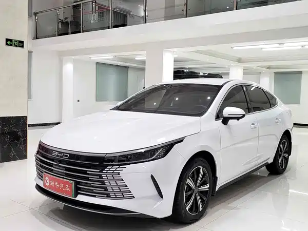 BYD Destroyer 05 2024