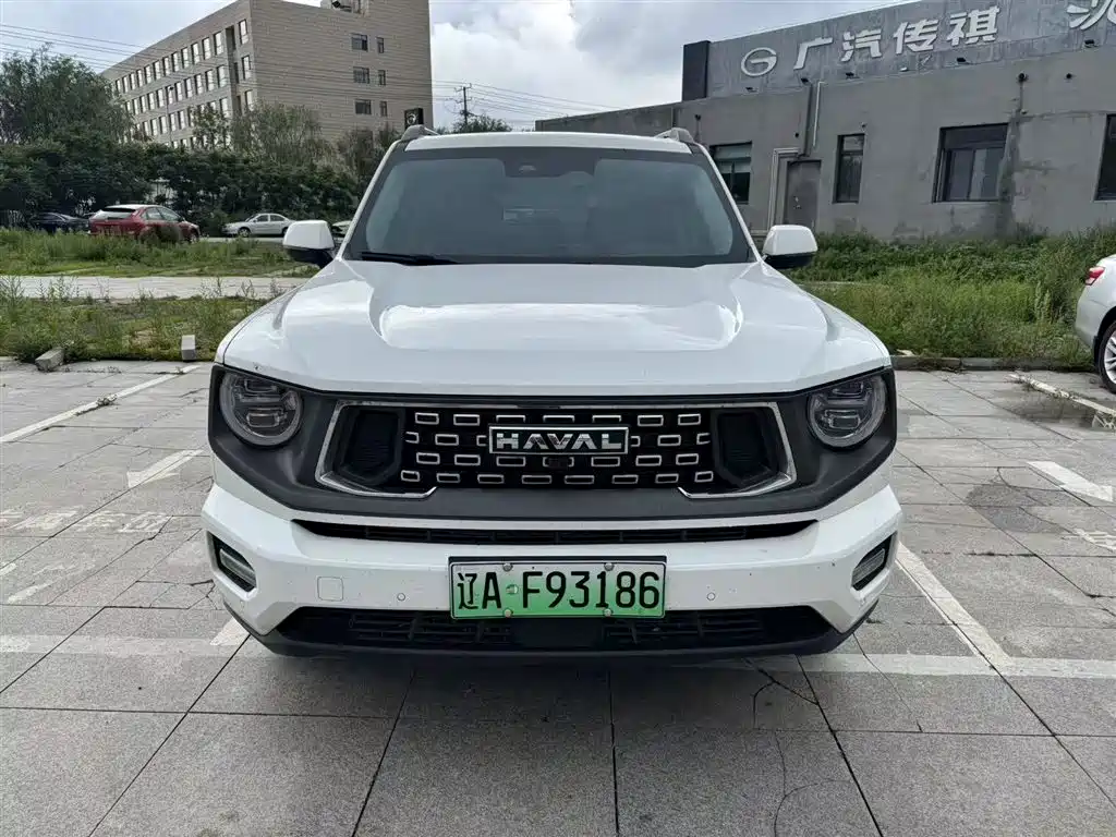 Haval Dargo PLUS EV 2024 — фото 4
