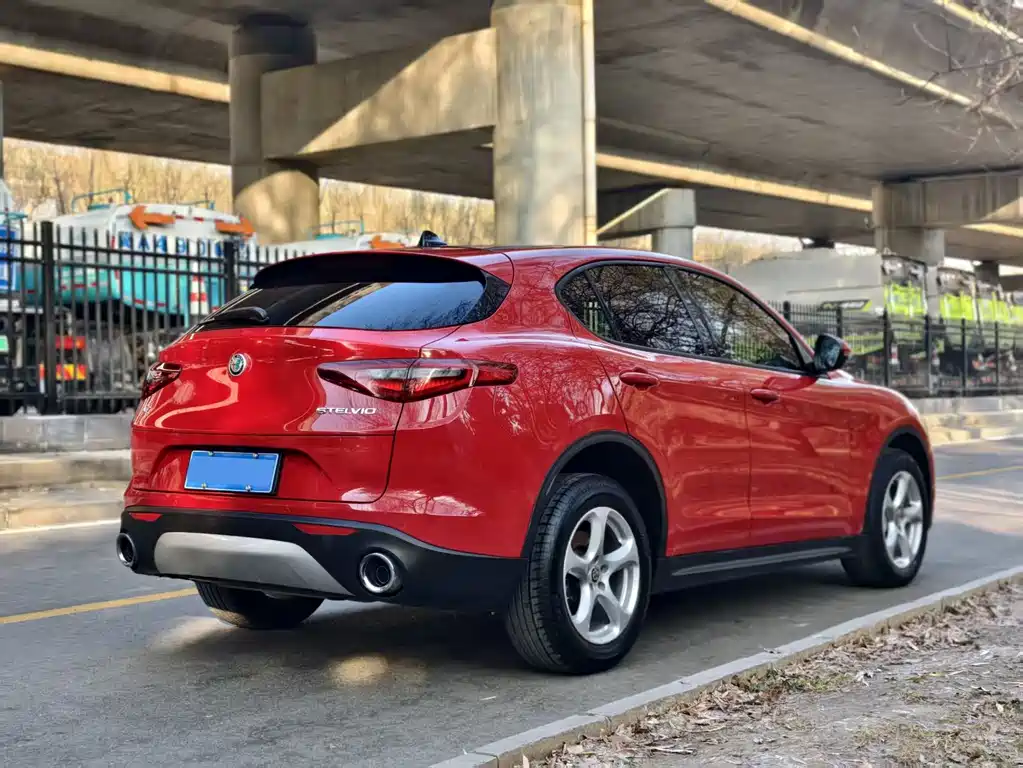 Alfa Romeo Stelvio 2019 — фото 10